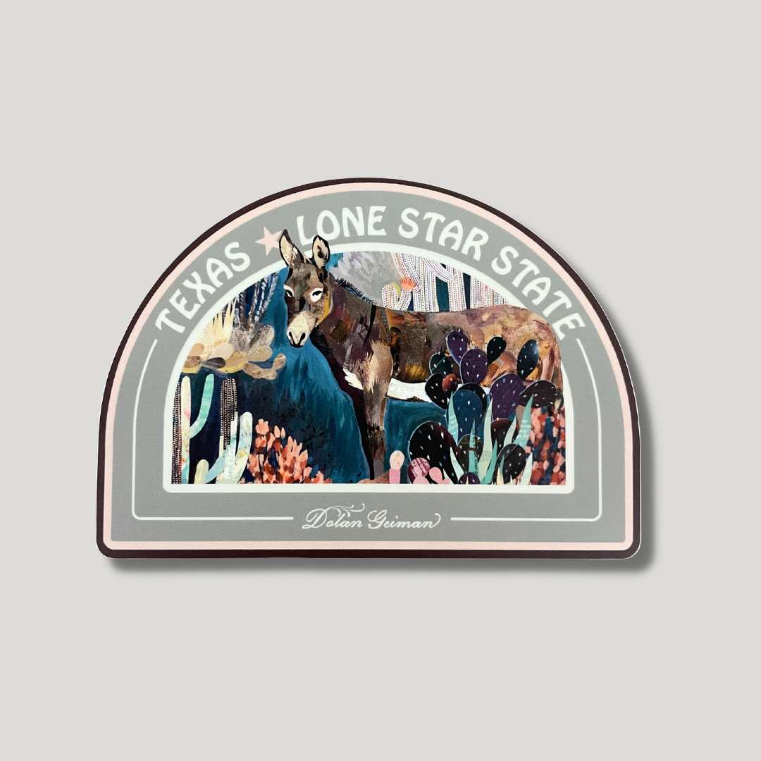 Lone Star State | Vinyl Sticker