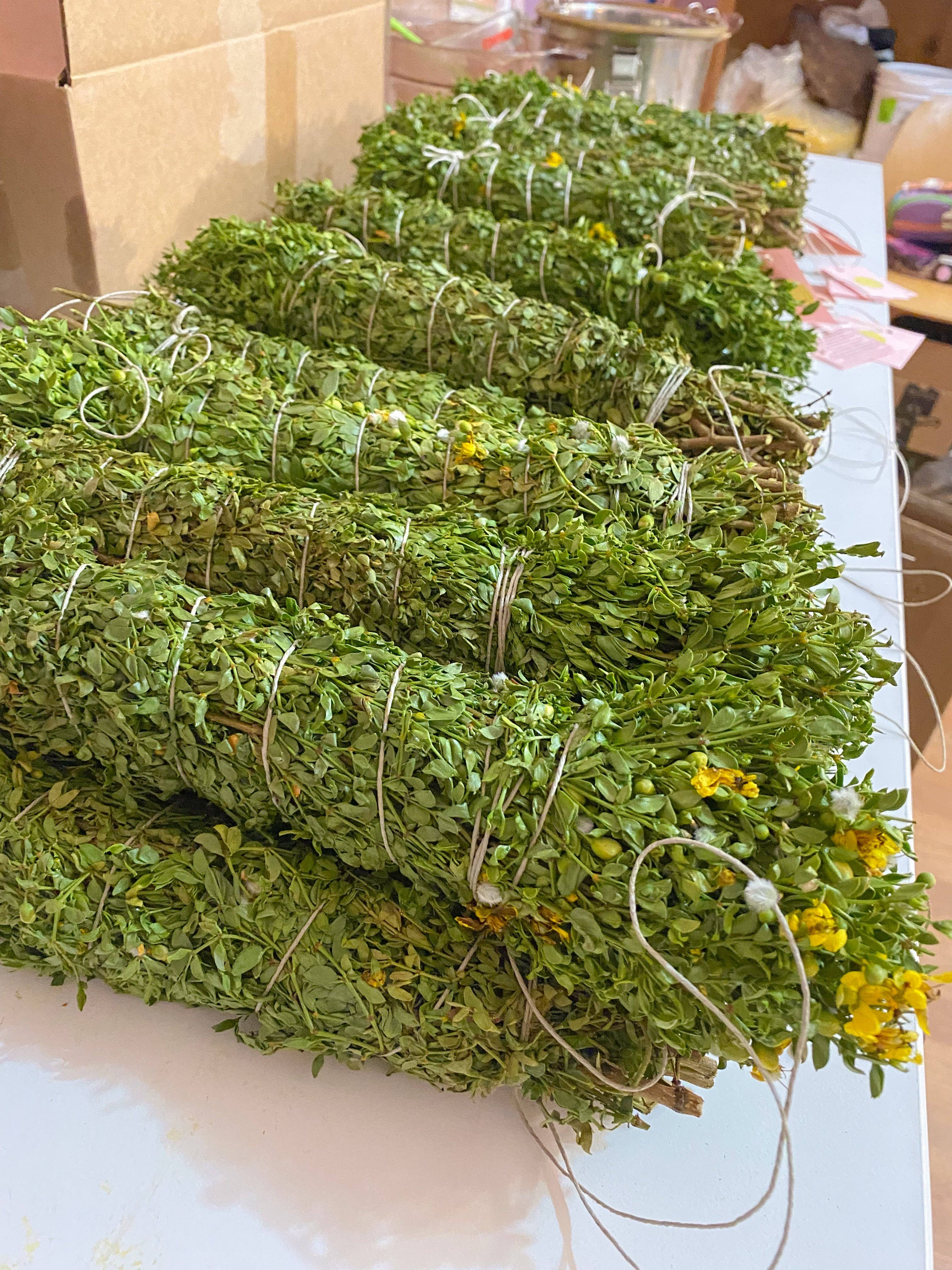 Creosote Shower Bundle