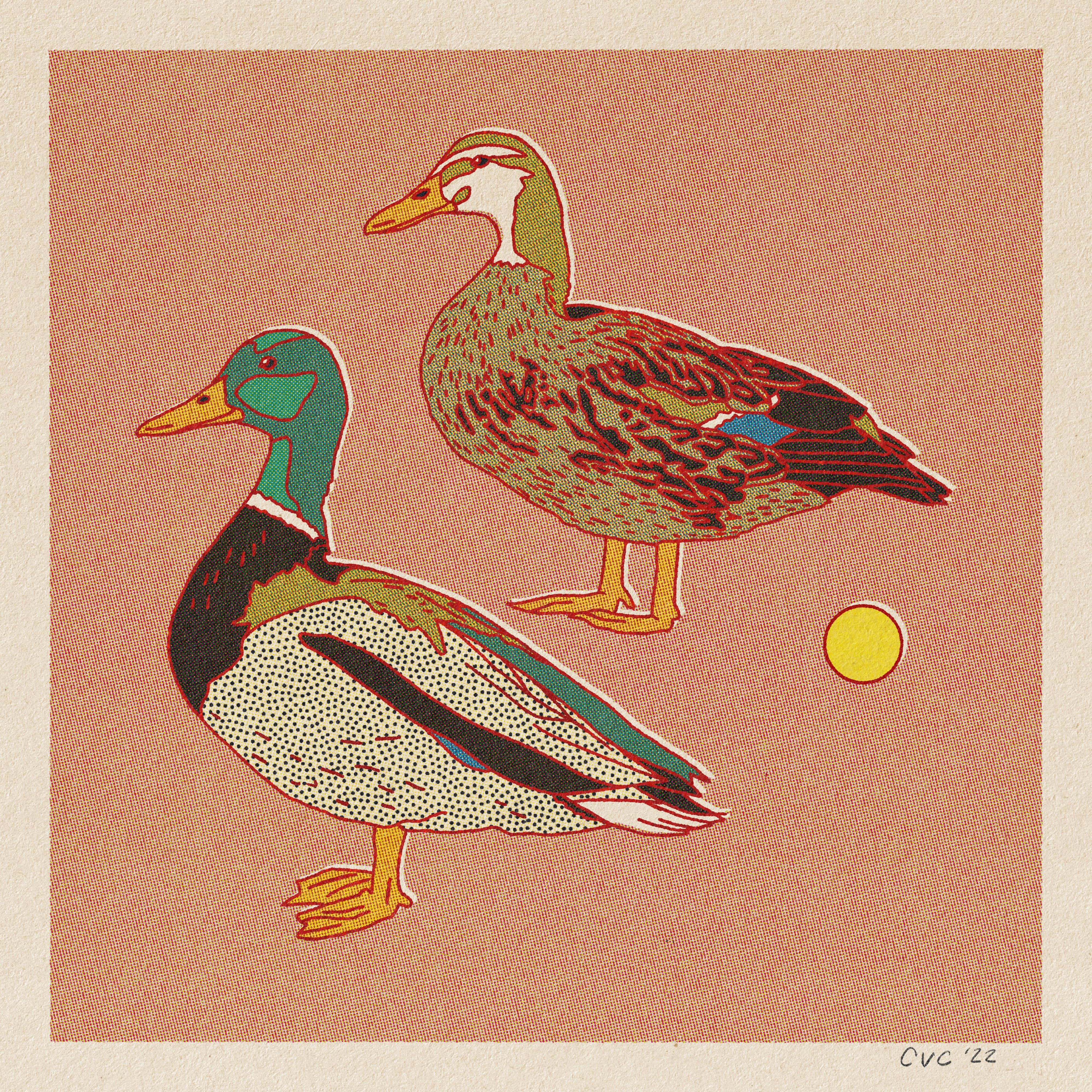 Desert Animal Postcard Pack