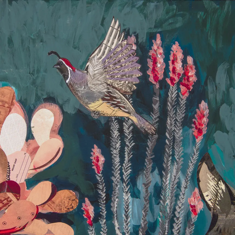 Burro Country - Limited Edition Framed Canvas