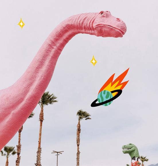 Lost in Translation | Eau de Parfum