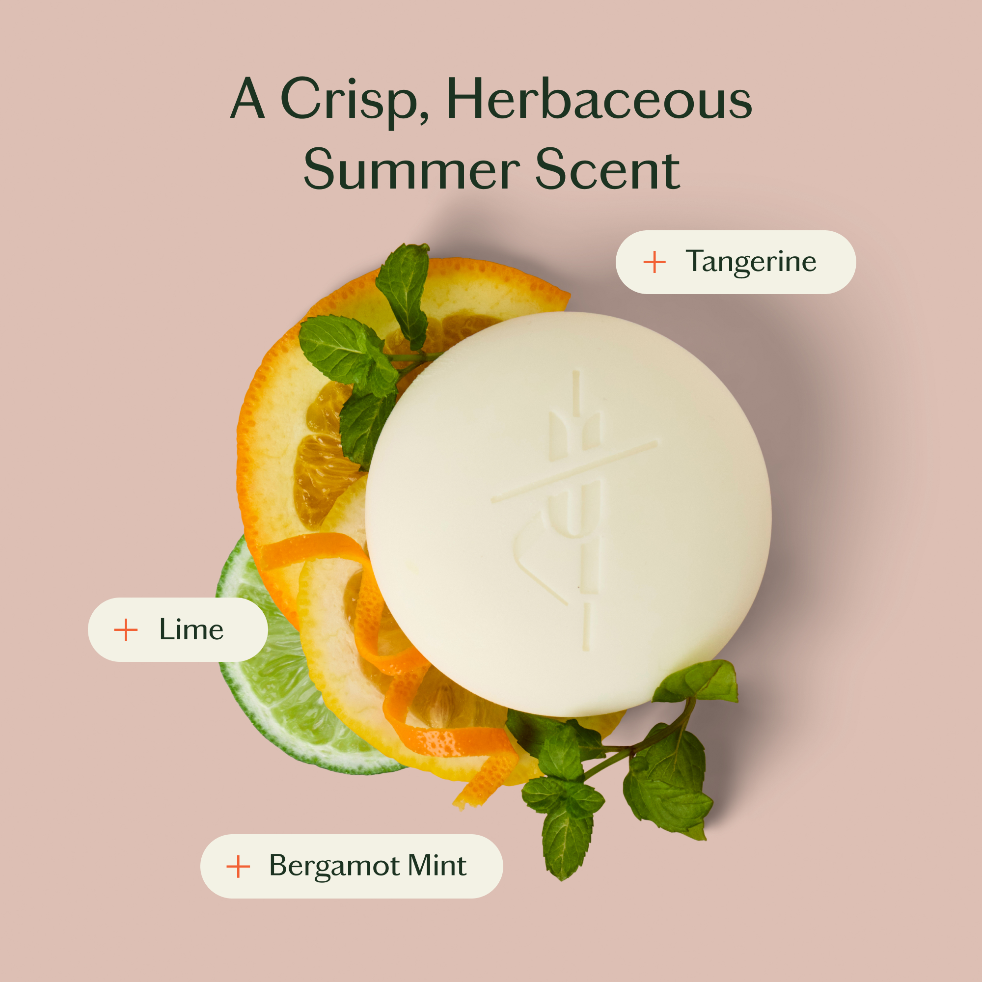 Bergamot Mint | Deep Moisturizing Lotion Bar