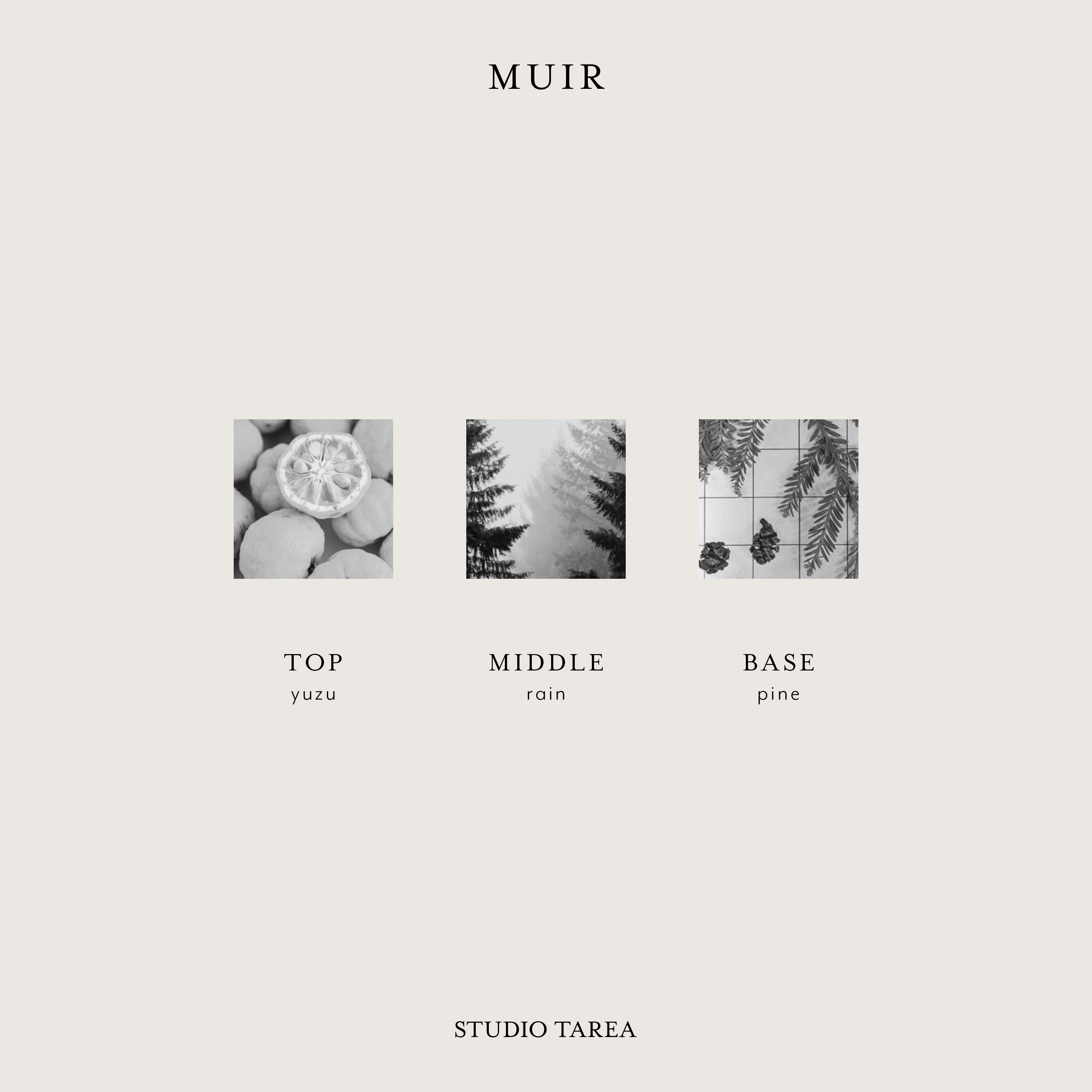 Muir Candle