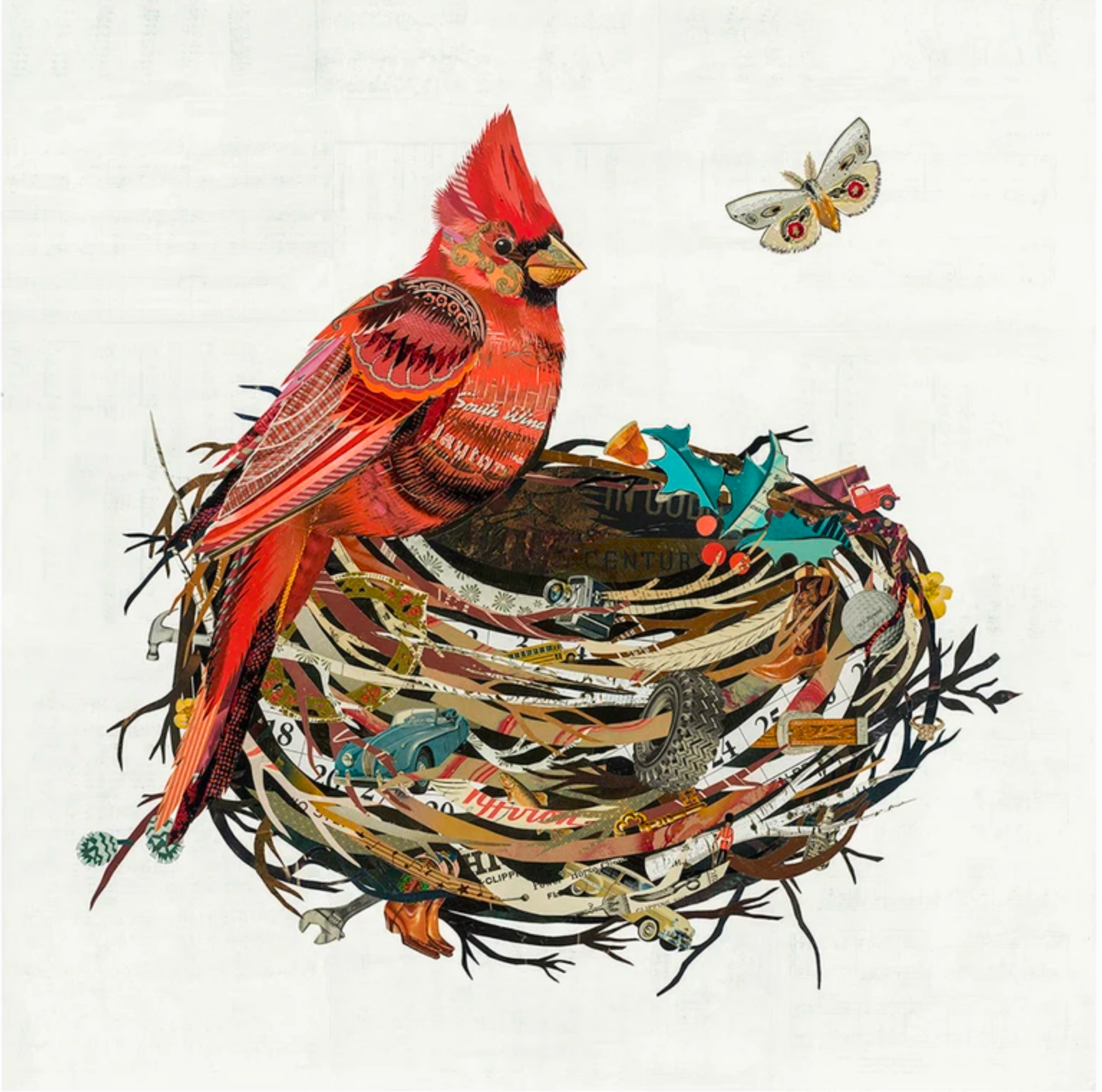 ◆reidan_collage◆ Cardinal In Nest
