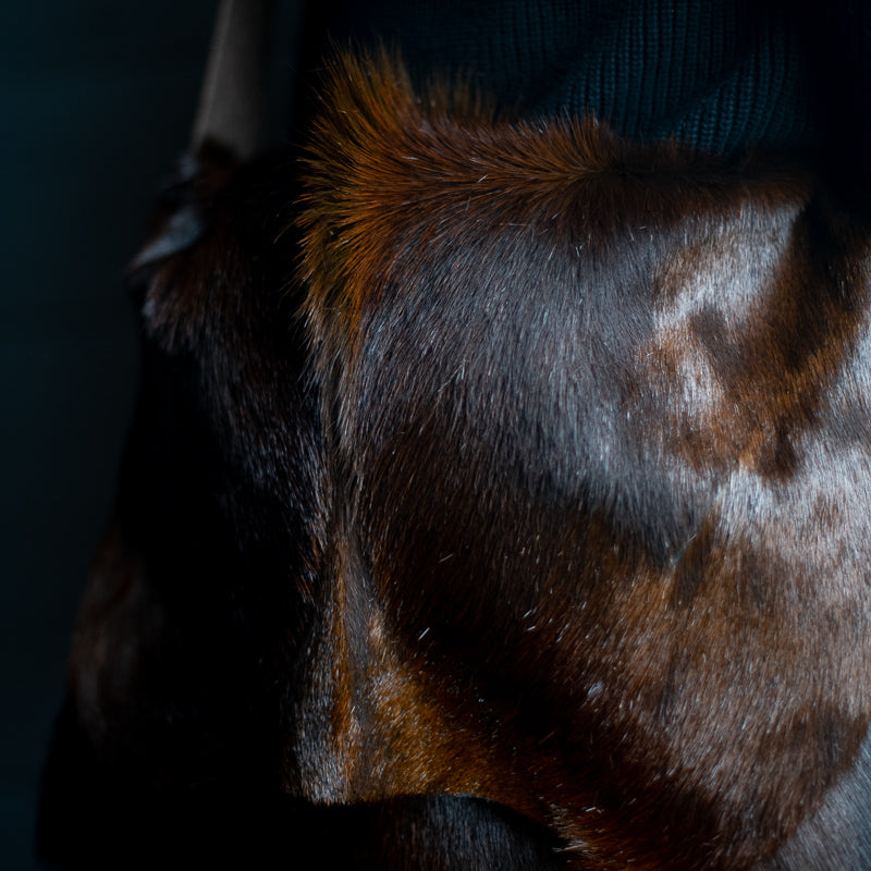 Messenger | Sandalwood Springbok