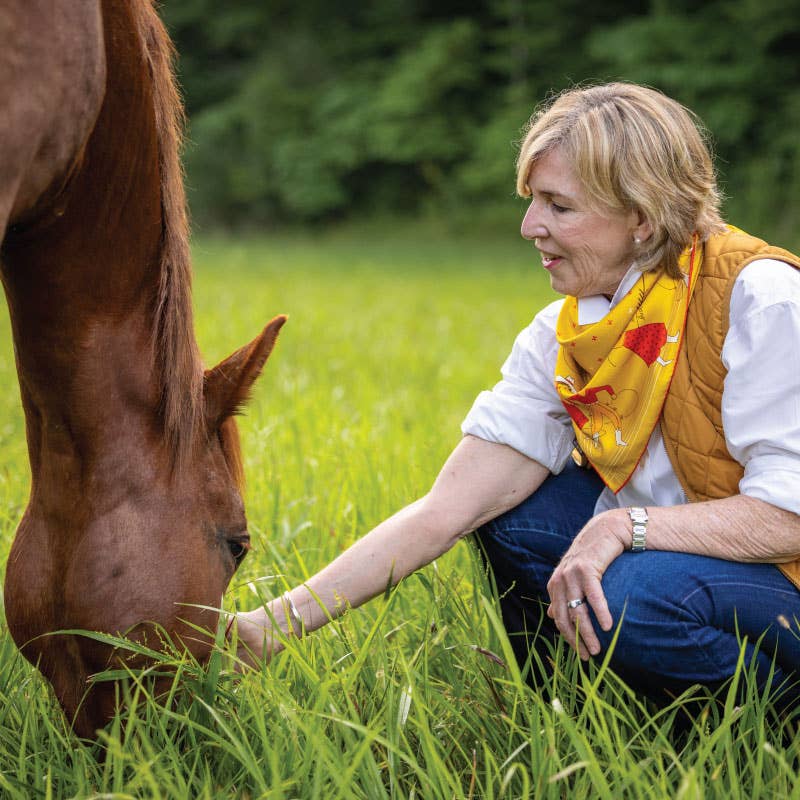 Silk Scarf - “Buck Up Buckaroo” - Square Neck & Hair Scarf