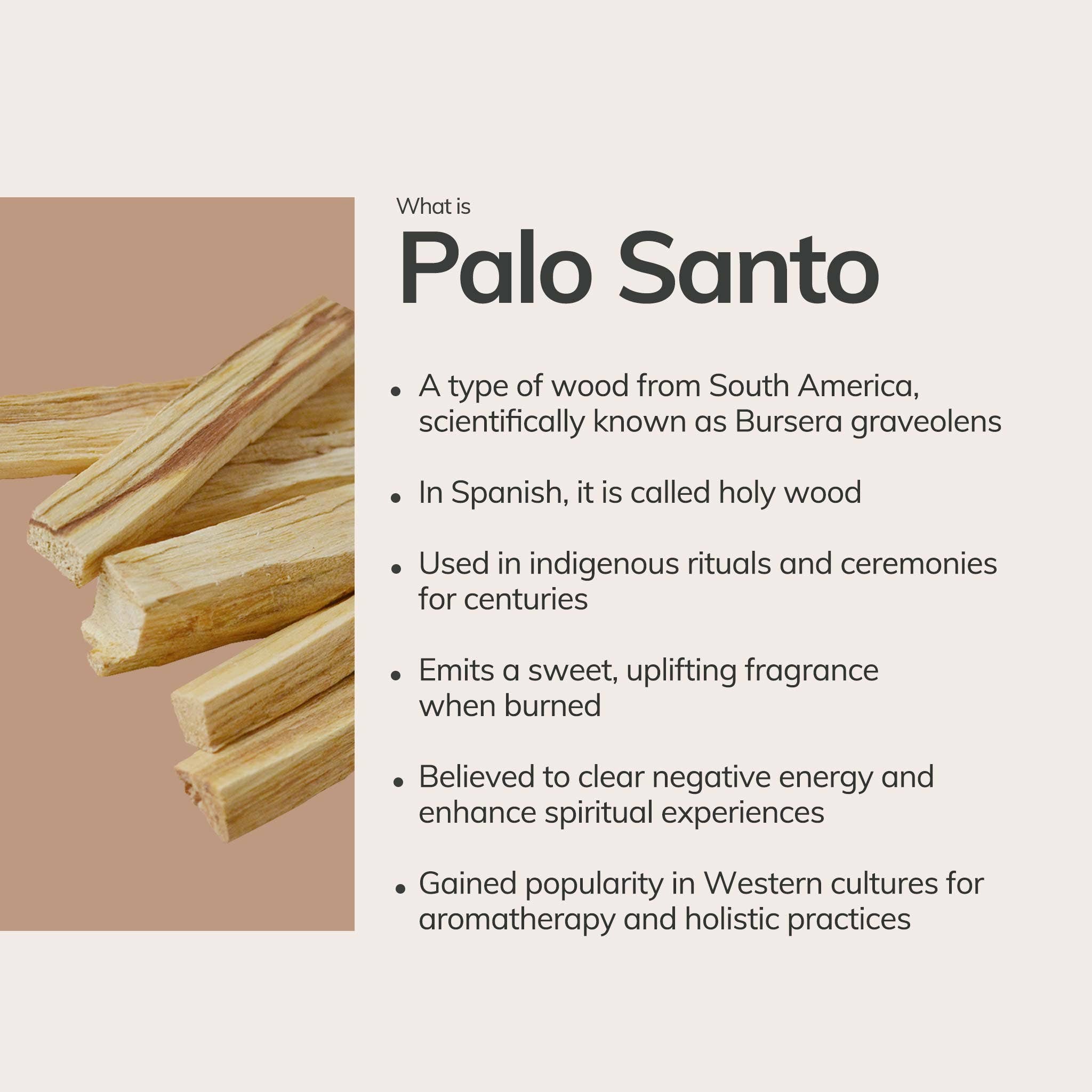 Mini Hand-Rolled Palo Santo Incense
