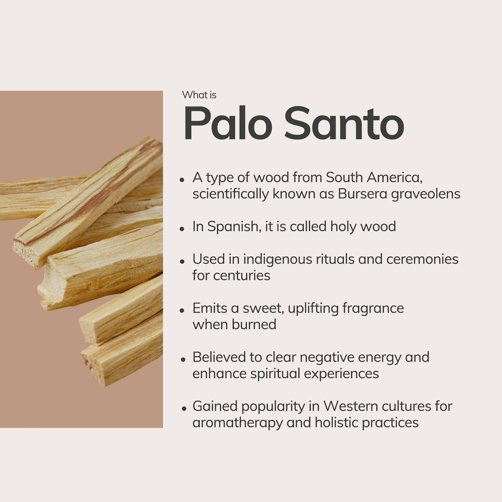 Mini Hand-Rolled Palo Santo Incense