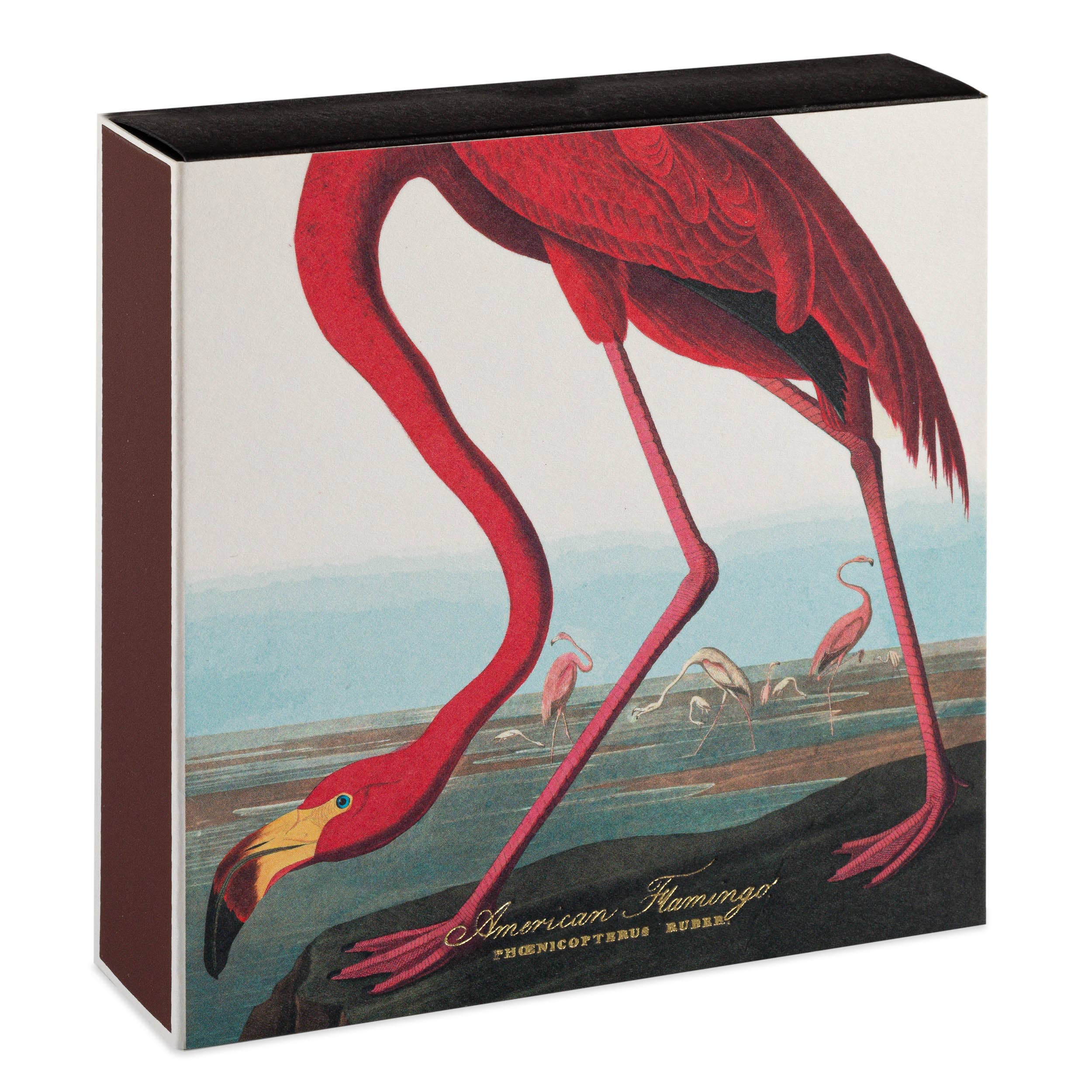 American Flamingo  | Match Box
