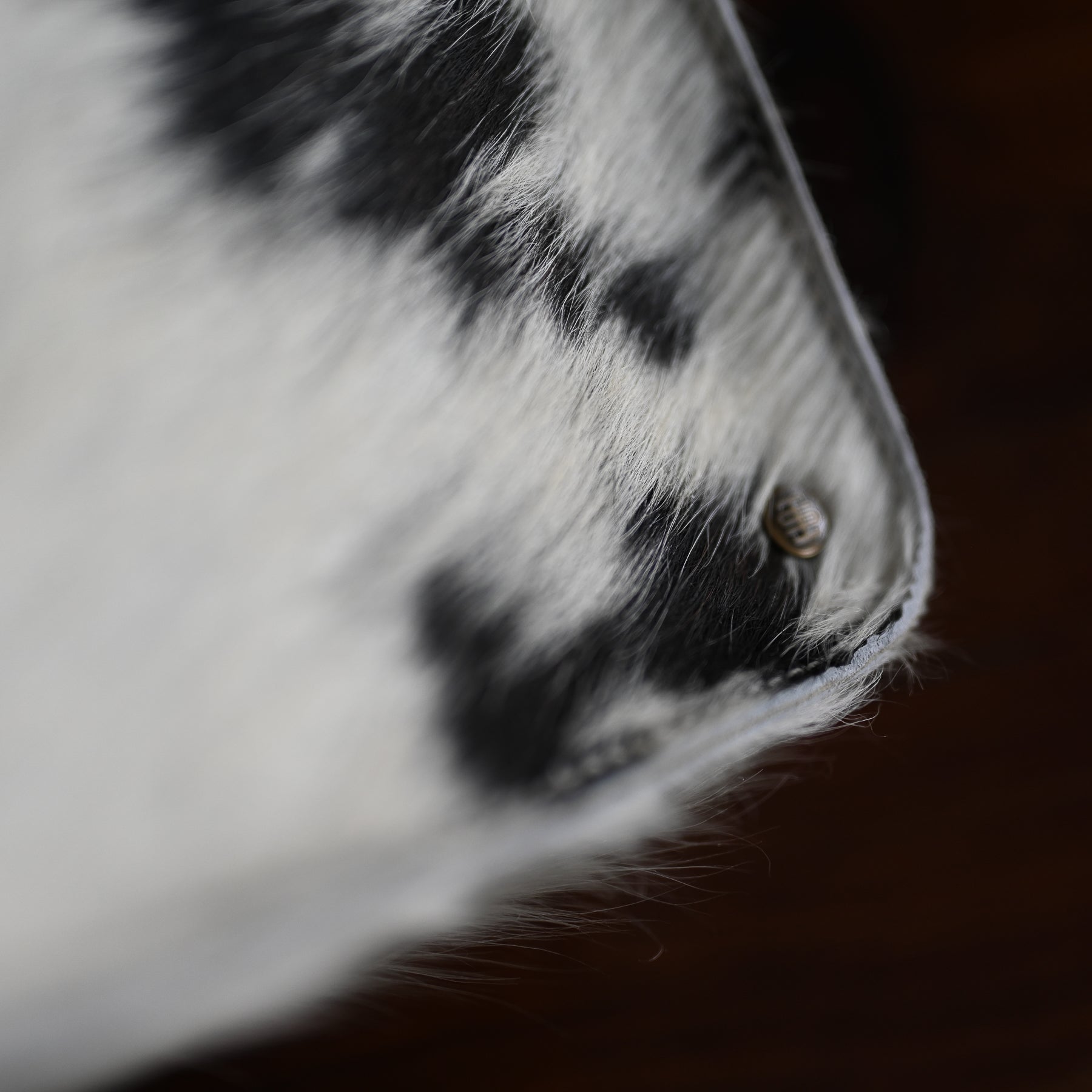 Dopp Kit LE | Tricolor Hair Hide | Style 01