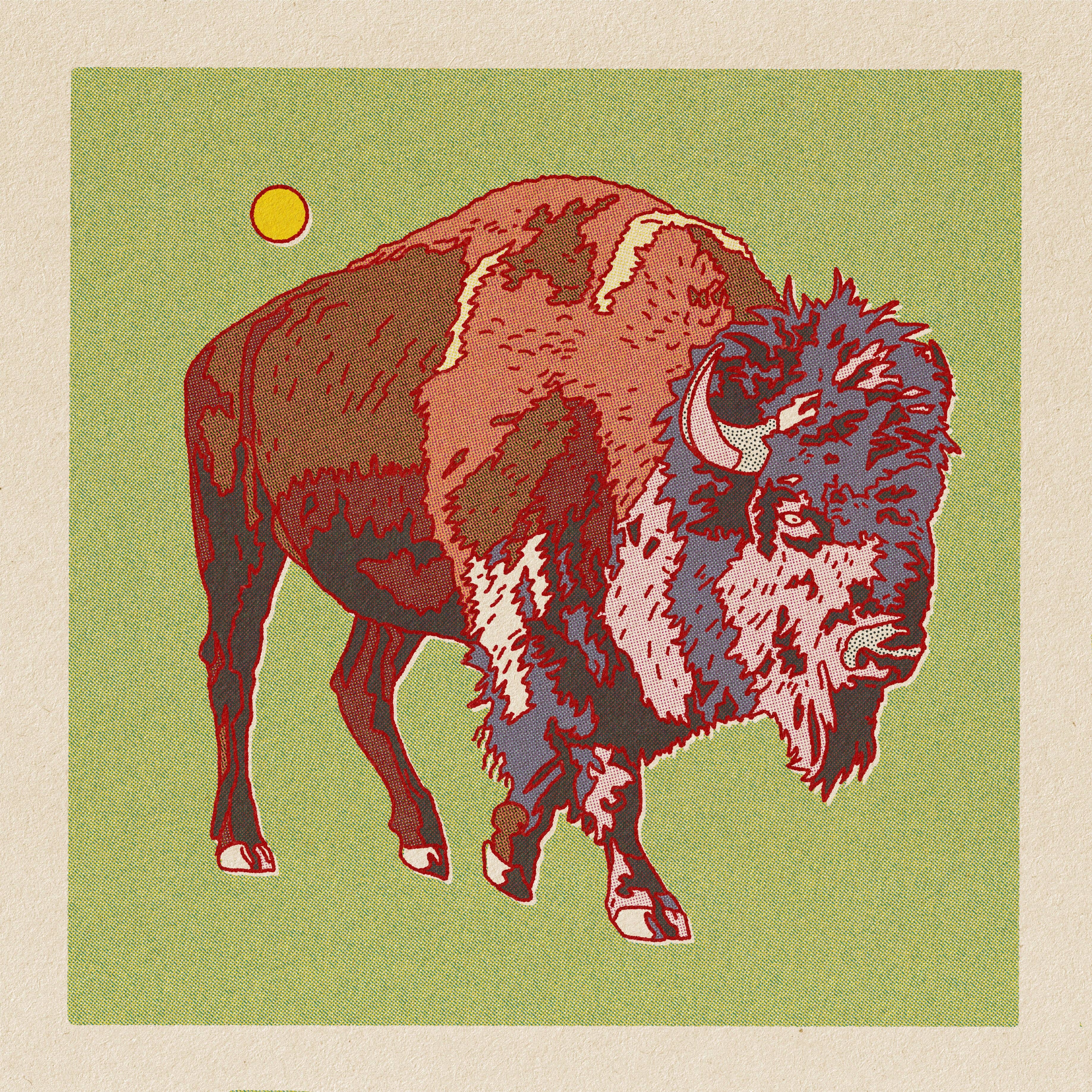 Desert Animal Postcard Pack