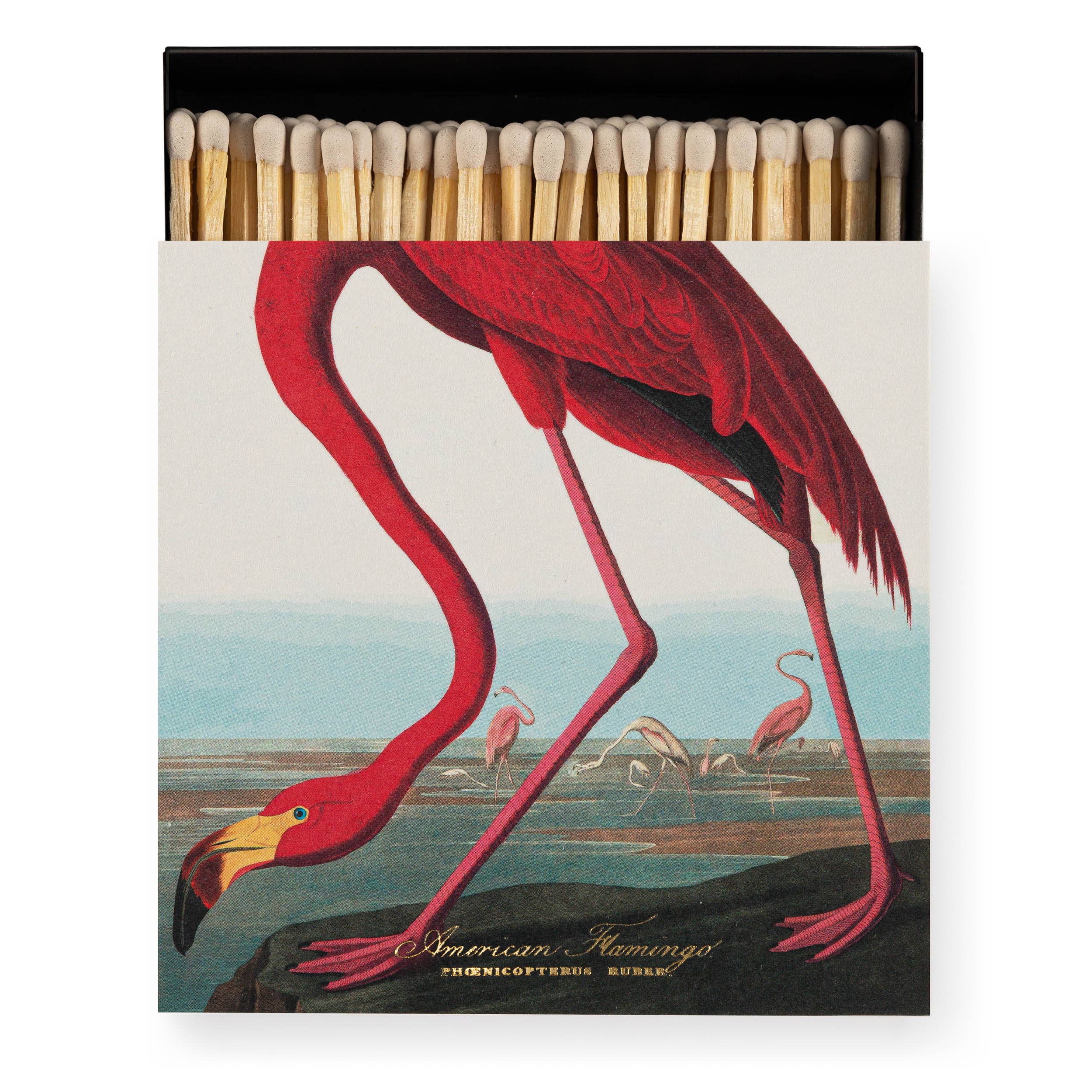 American Flamingo  | Match Box
