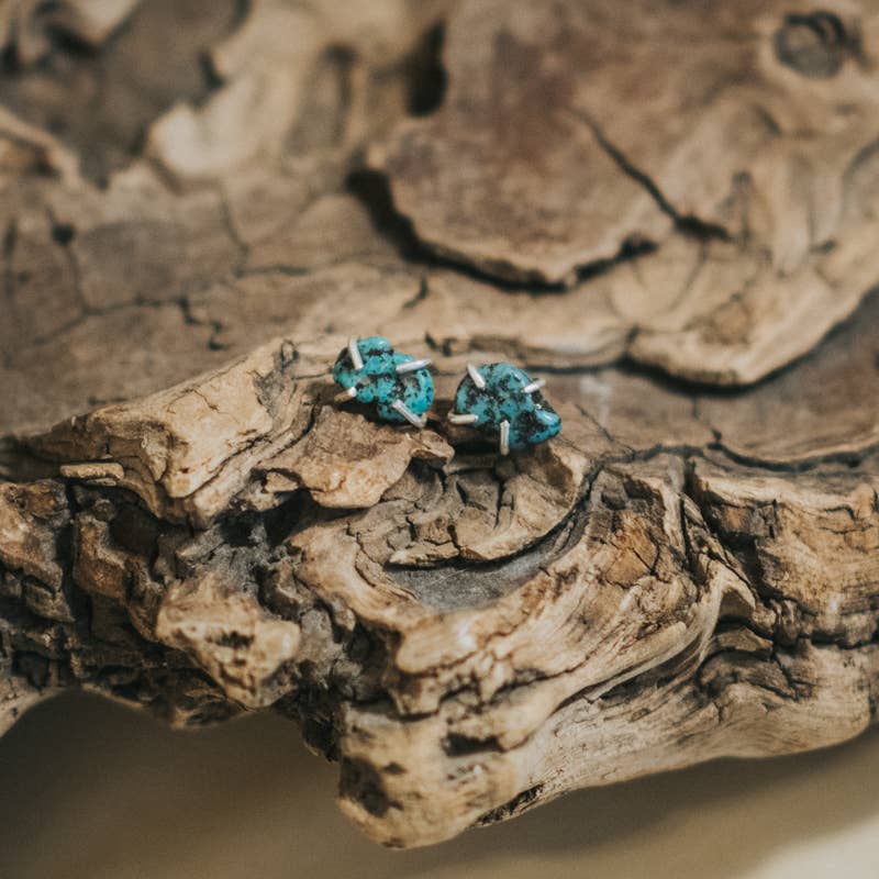 Turquoise Chela Studs