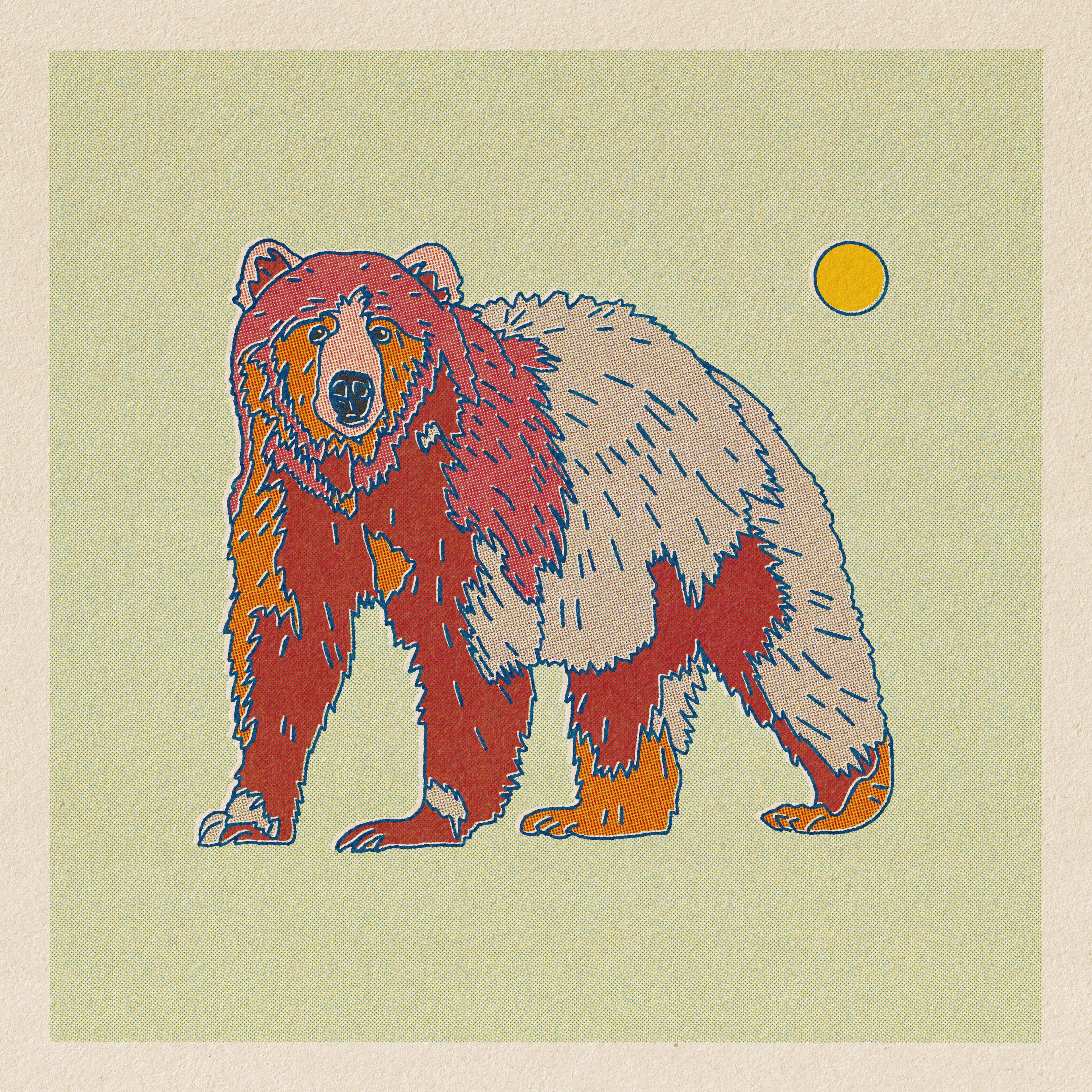 Desert Animal Postcard Pack