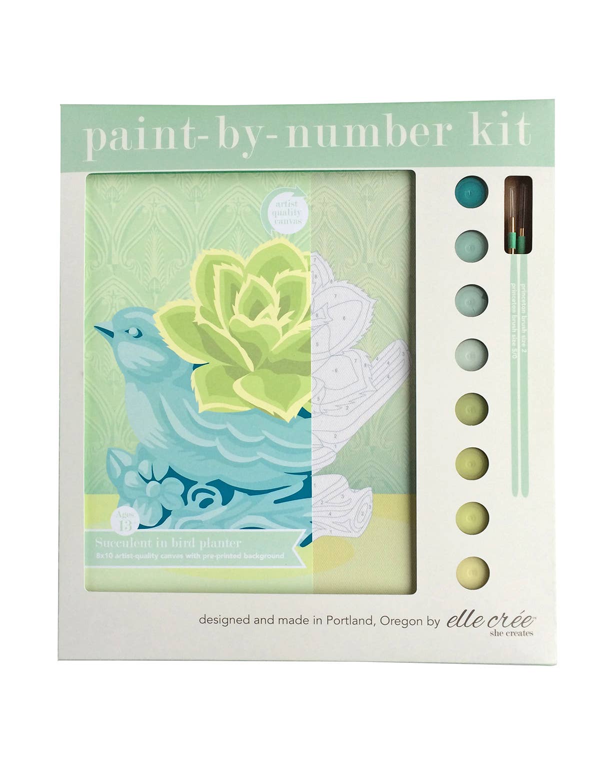 Succulent in Bird Planter Paint-by-Number Kit