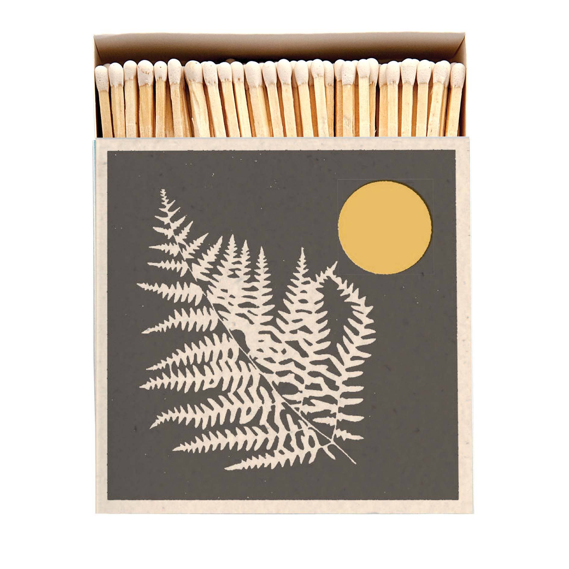 Fern Match Box | Real Fun, Wow!