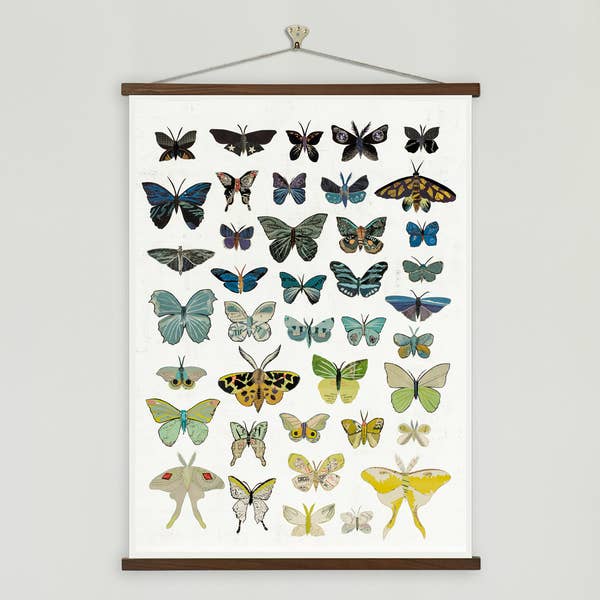 Butterflies | Dusk