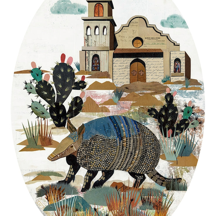 Armadillo At The Mission