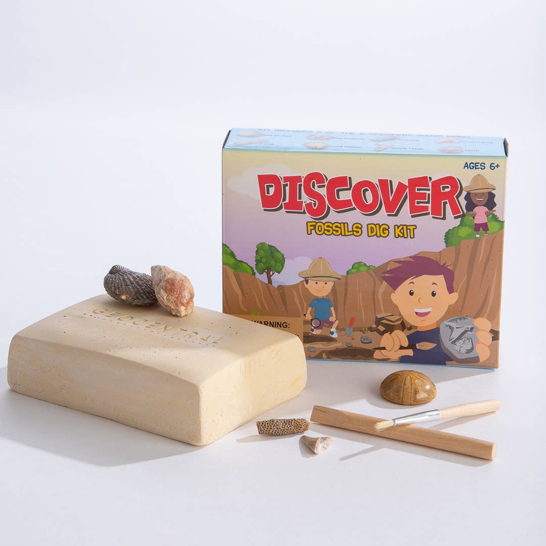 Discover Fossils Dig Kit