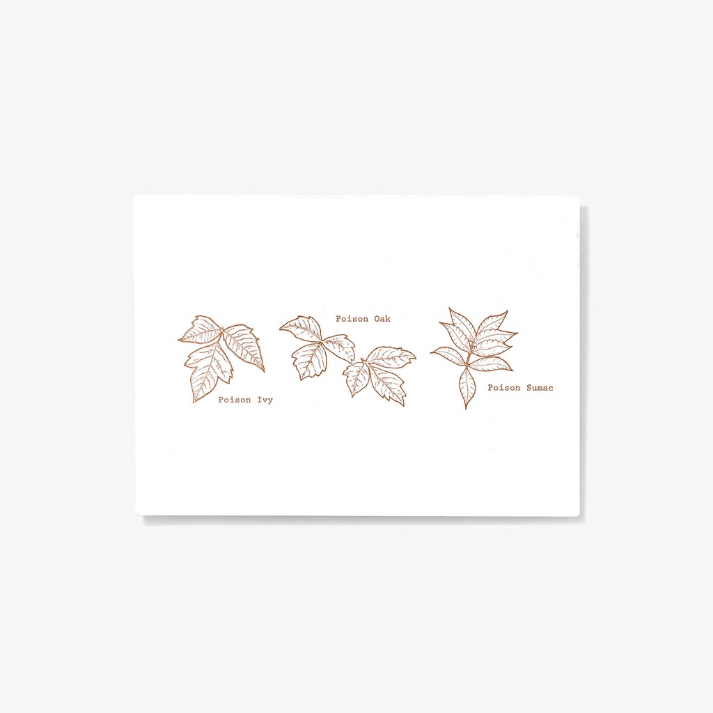Poisonous Plants | Letterpress Card