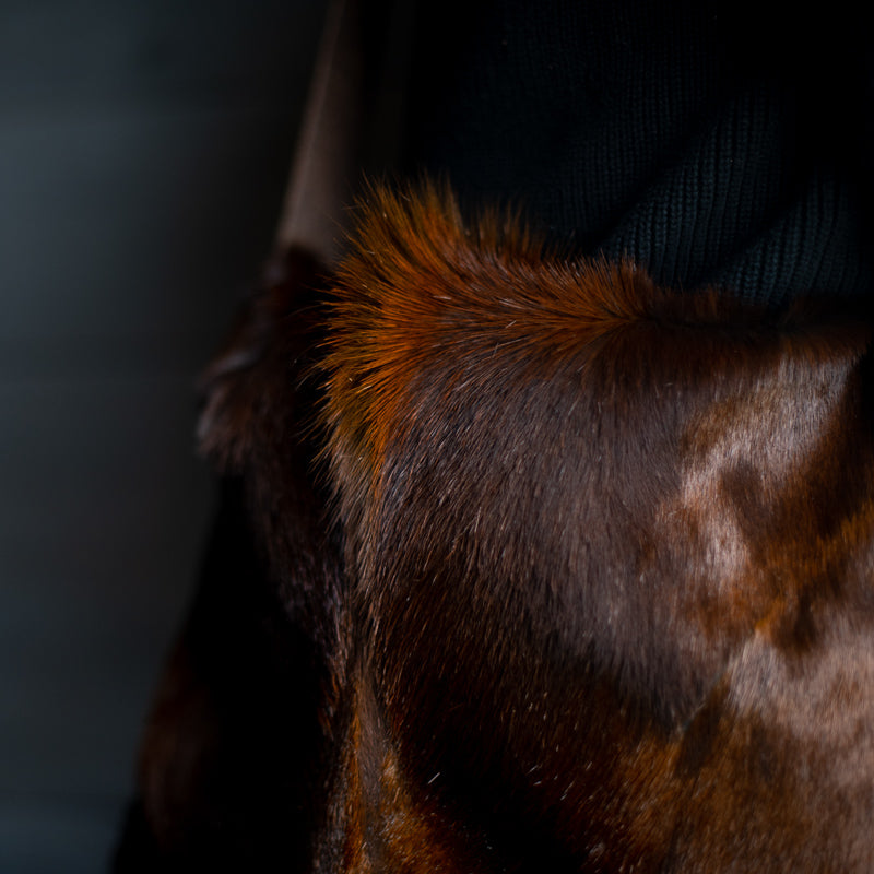 Messenger | Sandalwood Springbok